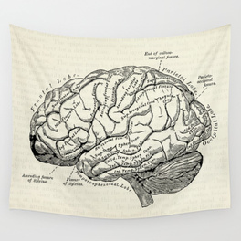 vintage-medical-illustration-of-the-human-brain-tapestries